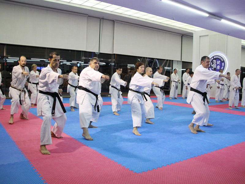 Τμήματα Ενηλίκων Karate