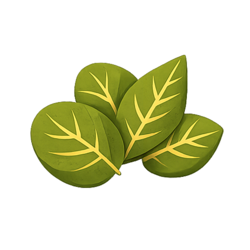 Εικονίδιο με φύλλα που συμβολίζει τα φρέσκα υλικά και τη φυσική προέλευση των προϊόντων.