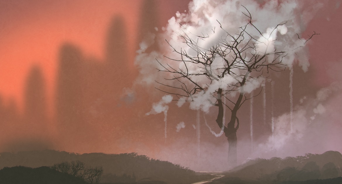 Banner image